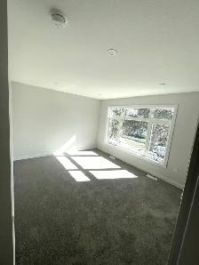 BEAUTIFUL 3 BEDROOM HOUSE FOR RENT IN EDMONTON - Photo 7