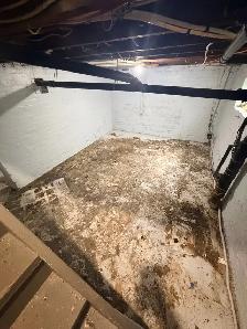 Junk Removal / Garbage Disposal (TRASH KINGS) - Photo 4