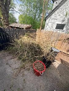 Junk Removal / Garbage Disposal (TRASH KINGS) - Photo 5