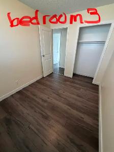 Pineridge NE main floor of detached house for rent - Photo 2