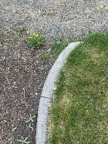 concrete lawn curbing - 45 feet - Photo 2