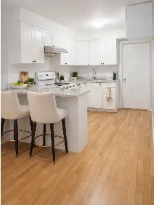 Large Bright Room ($950) All Utilities Included -Steps to GO/TTC - Photo 3