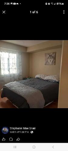 Room for rent - Photo 2