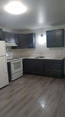 One Bedroom Apartment for Rent - Photo 2