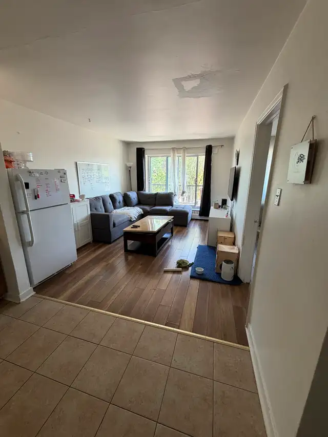 Beau 2.5 à louer