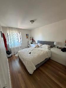 Beau 2.5 à louer - Photo 6