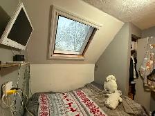 3rd Floor Studio - All Inclusive - Lakeshore & Islington - Photo 6
