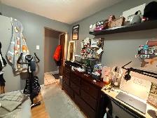 3rd Floor Studio - All Inclusive - Lakeshore & Islington - Photo 7