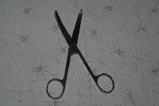 SCISSORS precision dissection/precision $5. microscope case FREE - Photo 5