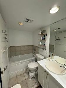 1 BR 1 BATH - 500 SQ FT,  Downtown Toronto, Lake View Condo. - Photo 4