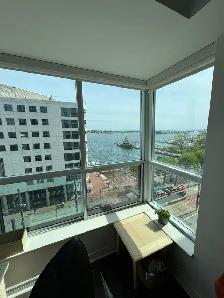 1 BR 1 BATH - 500 SQ FT,  Downtown Toronto, Lake View Condo. - Photo 5