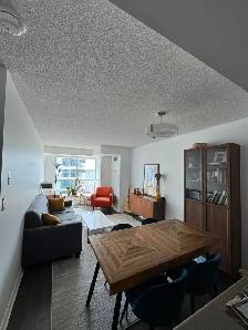 1 BR 1 BATH - 500 SQ FT,  Downtown Toronto, Lake View Condo. - Photo 6