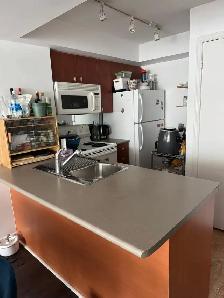 1 BR 1 BATH - 500 SQ FT,  Downtown Toronto, Lake View Condo. - Photo 8
