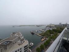 1 BR 1 BATH - 500 SQ FT,  Downtown Toronto, Lake View Condo. - Photo 11