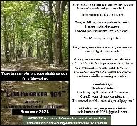 LIGHTWORKER 101 - Enhance Your Summer Experience