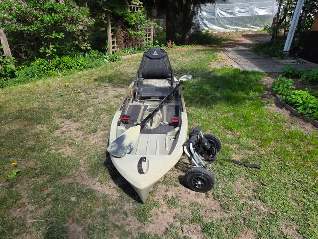 Adult kayak