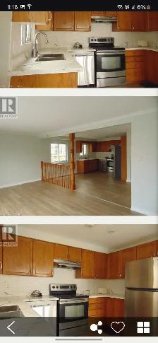 kirchner home rent 2400 price. drop june 1st - Photo 4