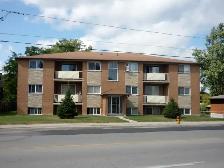 Large One Bedroom Apartment for Rent