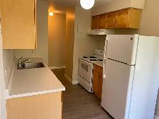 Large One Bedroom Apartment for Rent - Photo 2