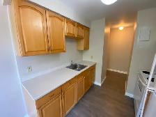 Large One Bedroom Apartment for Rent - Photo 3