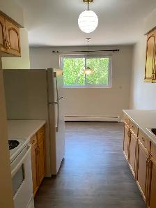Large One Bedroom Apartment for Rent - Photo 4