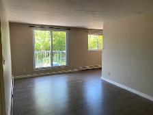 Large One Bedroom Apartment for Rent - Photo 5