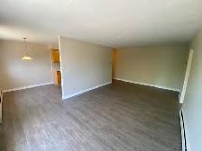Large One Bedroom Apartment for Rent - Photo 6