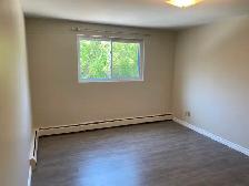 Large One Bedroom Apartment for Rent - Photo 7