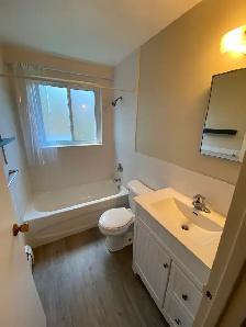 Large One Bedroom Apartment for Rent - Photo 8