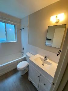 Large One Bedroom Apartment for Rent - Photo 9