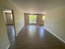 Large One Bedroom Apartment for Rent - Photo 10