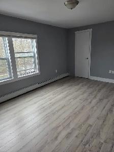 June 1st New Reno Large One BR Apartment & Balcony Quinpool Rd. - Photo 2