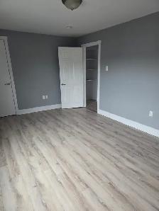 June 1st New Reno Large One BR Apartment & Balcony Quinpool Rd. - Photo 4