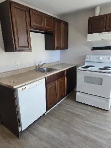 June 1st New Reno Large One BR Apartment & Balcony Quinpool Rd. - Photo 8