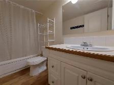 2 Bed   Den, 1,5 bath, 2 parking stalls pet friendly apartment - Photo 7