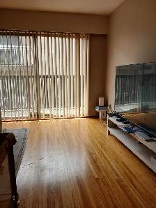 Charming mid-century modern 1 bdrm unit (Marpole)