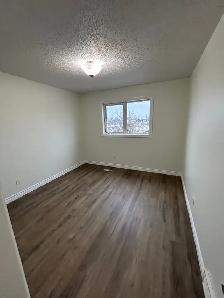 137 Swanson Cr - Photo 9