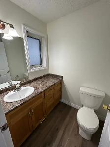 137 Swanson Cr - Photo 12
