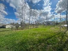 Two Adjacent Land For Sale - Photo 3