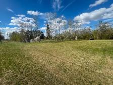 Two Adjacent Land For Sale - Photo 4