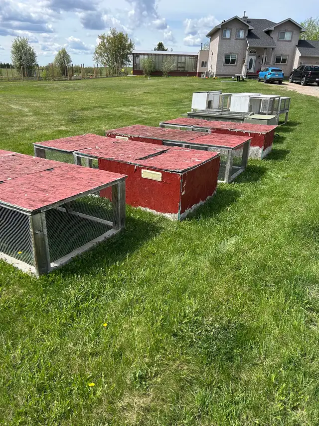 Rabbit Tractors/hutches