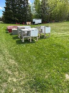 Rabbit Tractors/hutches - Photo 2