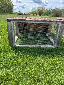 Rabbit Tractors/hutches - Photo 5