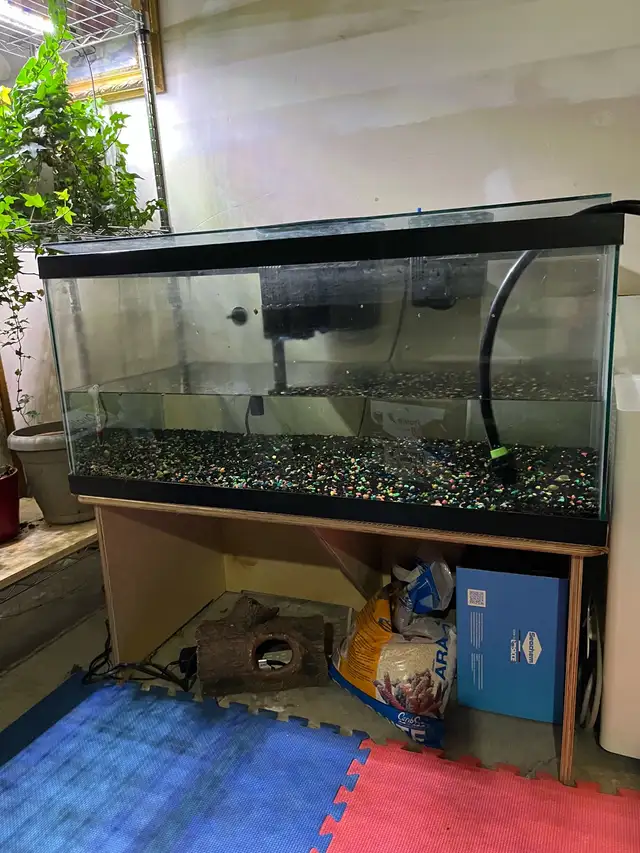 40 Gallon Long Aquarium