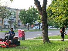 Tonte de pelouse - Photo 5