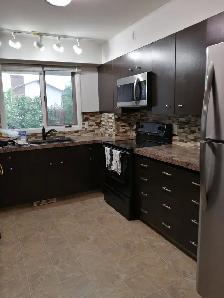 Large main floor -Lower Mission house