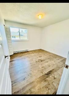 appartement 4-1/2 - Photo 5
