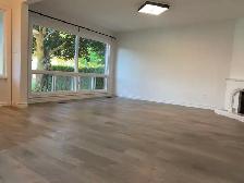 Three Rooms First Floor Unit for Rent in Burlington - Photo 2