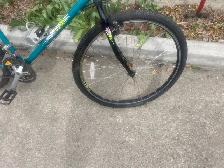 Free adult bike / bicycle - Photo 4