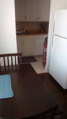Large One Bedroom Apartment. Jackson Park. $1200 - Photo 3